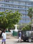 cruise418_small.jpg