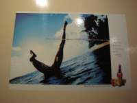 cruise441_small.jpg