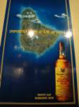 cruise442_small.jpg