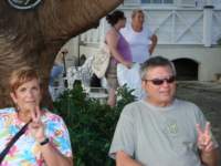 cruise452_small.jpg