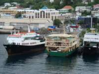 cruise474_small.jpg