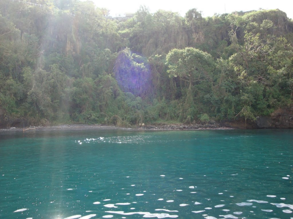 cruise476.jpg