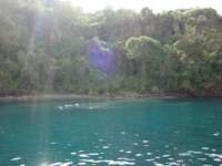 cruise476_small.jpg