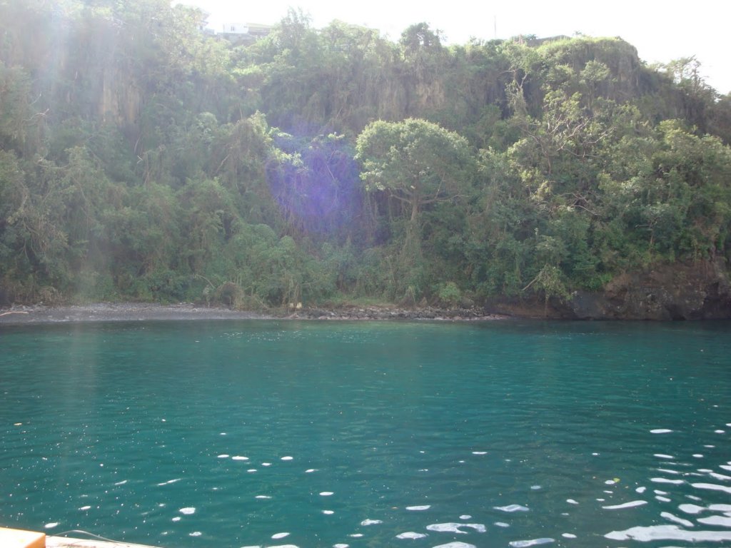 cruise477.jpg