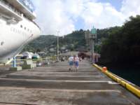 cruise478_small.jpg