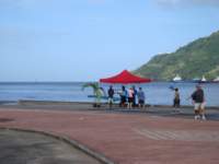 cruise482_small.jpg