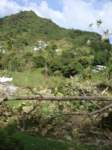 cruise491_small.jpg