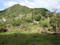 cruise492_small.jpg
