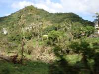 cruise493_small.jpg