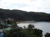 cruise495_small.jpg