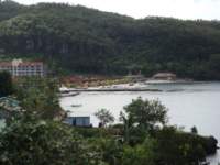 cruise497_small.jpg