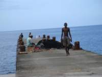 cruise500_small.jpg