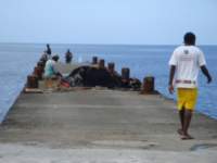 cruise501_small.jpg