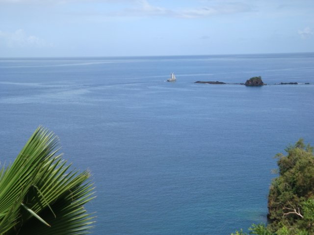 cruise508.jpg