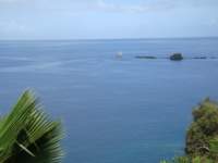 cruise508_small.jpg