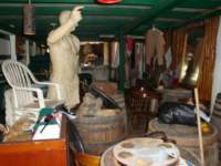 cruise538_small.jpg