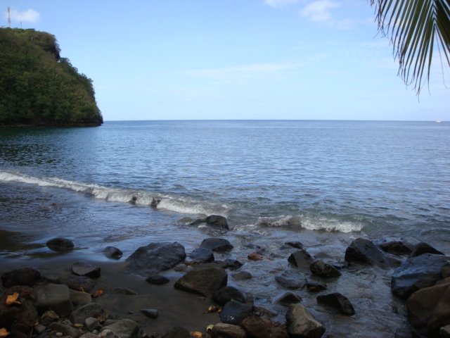 cruise539.jpg