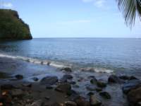 cruise539_small.jpg