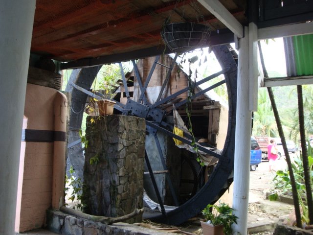 cruise540.jpg