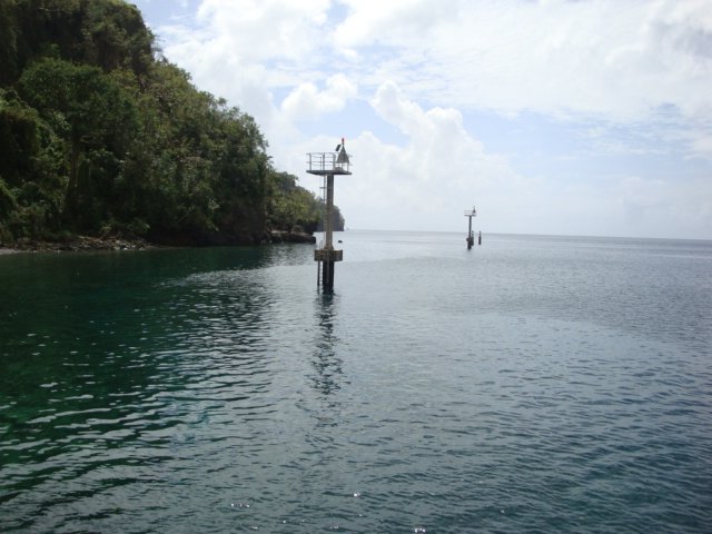 cruise571.jpg