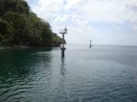 cruise571_small.jpg