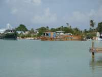 cruise586_small.jpg