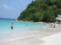 cruise587_small.jpg