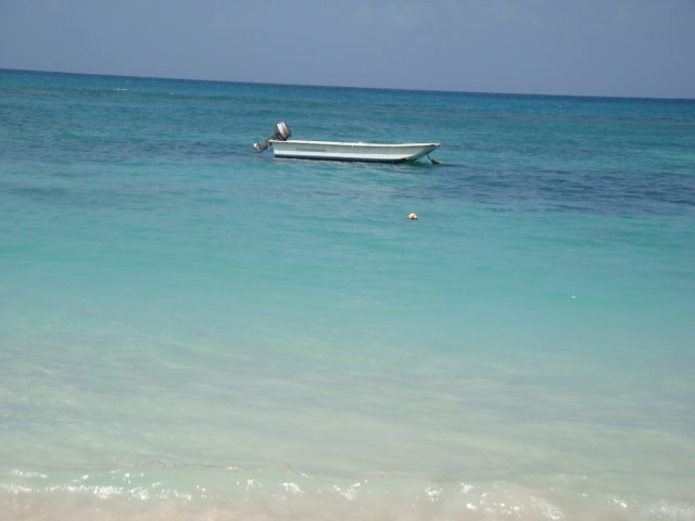cruise588.jpg