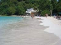 cruise593_small.jpg