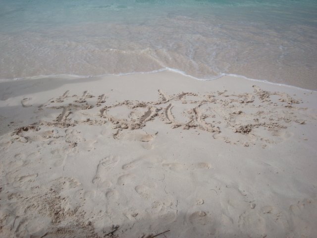 cruise604.jpg