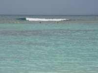 cruise611_small.jpg