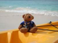 cruise617_small.jpg