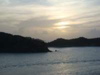 cruise629_small.jpg