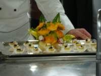 cruise652_small.jpg