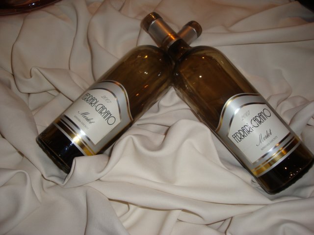 cruise674.jpg