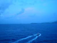 cruise724_small.jpg