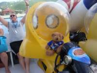 cruise735_small.jpg