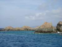 cruise753_small.jpg