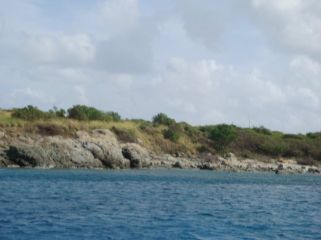 cruise756.jpg