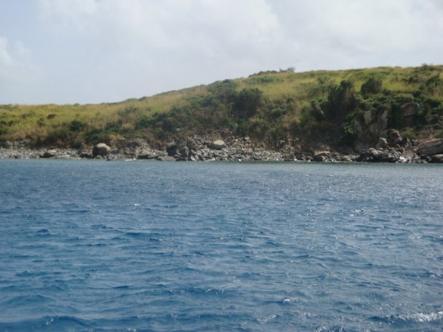 cruise759.jpg