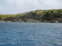 cruise759_small.jpg