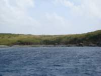 cruise761_small.jpg