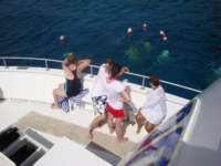 cruise768_small.jpg