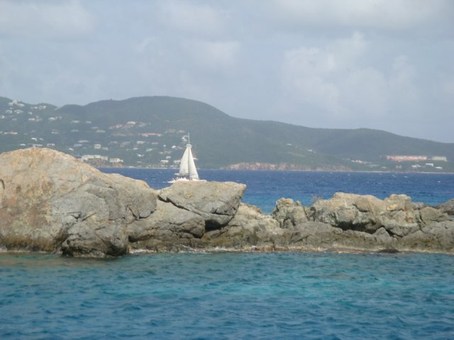 cruise770.jpg
