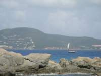 cruise771_small.jpg