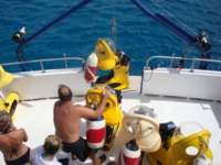 cruise774_small.jpg