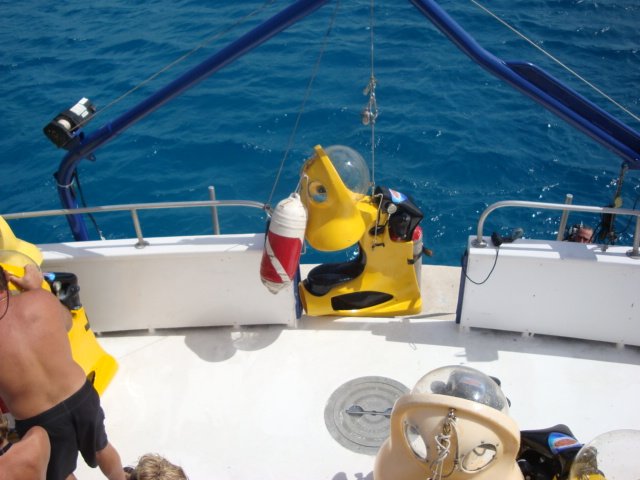 cruise775.jpg