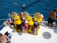cruise776_small.jpg