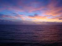 cruise803_small.jpg