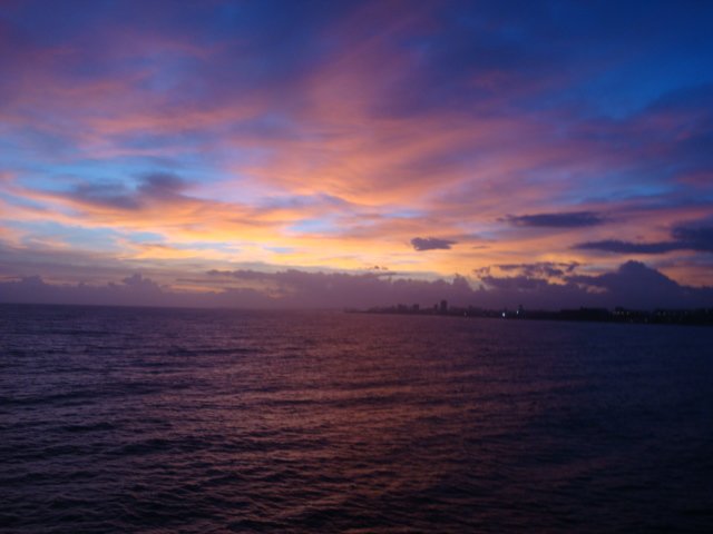 cruise804.jpg